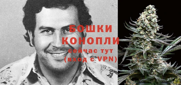 спайс Беломорск