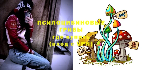 стаф Белоозёрский
