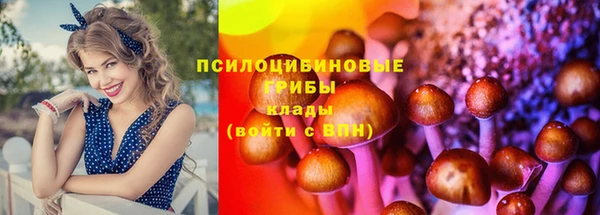 стаф Белоозёрский